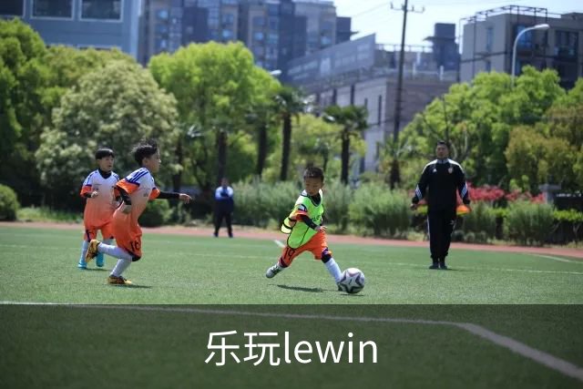 乐玩lewin平台介绍图片
